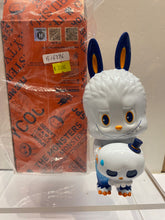 Load image into Gallery viewer, G16396