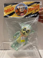 Load image into Gallery viewer, G15243 B