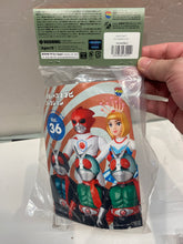 Load image into Gallery viewer, V3089