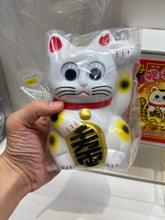Load image into Gallery viewer, G16029 A