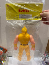 Load image into Gallery viewer, G16373 B