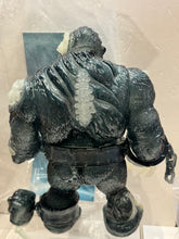 Load image into Gallery viewer, G16861