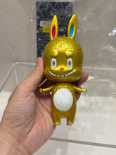Load image into Gallery viewer, G16062 B