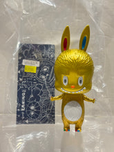 Load image into Gallery viewer, G16062 B