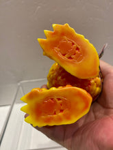 Load image into Gallery viewer, G14955