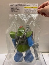 Load image into Gallery viewer, G16172