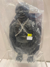 Load image into Gallery viewer, G16796