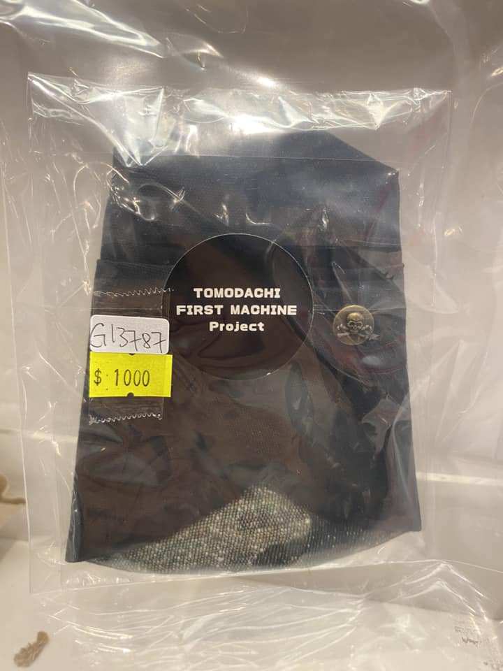 G13787