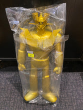 Load image into Gallery viewer, G15267 i