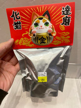 Load image into Gallery viewer, G13966 A