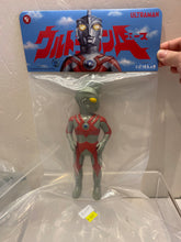 Load image into Gallery viewer, G16789