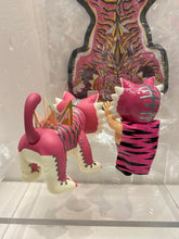 Load image into Gallery viewer, G14559 B