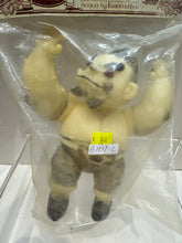 Load image into Gallery viewer, G15791 C