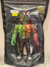 Load image into Gallery viewer, G15876 B