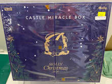 Load image into Gallery viewer, G15613 B