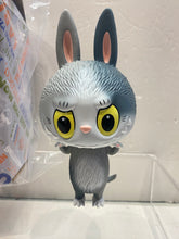 Load image into Gallery viewer, G14809