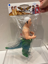 Load image into Gallery viewer, V3058