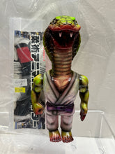 Load image into Gallery viewer, G16843 A