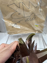 Load image into Gallery viewer, G15310