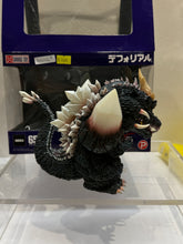 Load image into Gallery viewer, G16236 B