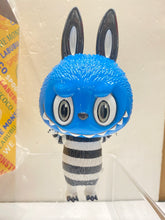 Load image into Gallery viewer, G16649 B