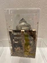 Load image into Gallery viewer, G16772 D
