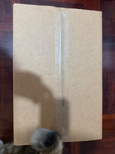 Load image into Gallery viewer, G16923 Josh Mayhem one off 1/1