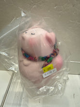 Load image into Gallery viewer, G15791 D