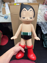 Load image into Gallery viewer, G15601