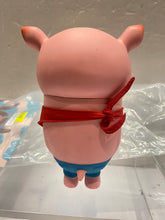 Load image into Gallery viewer, G16494 c