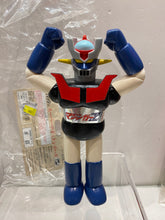 Load image into Gallery viewer, G14529 A