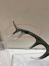 Load image into Gallery viewer, G16259