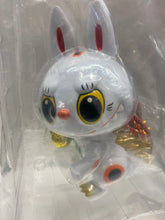 Load image into Gallery viewer, G17027 B