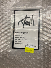 Load image into Gallery viewer, G15907