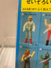 Load image into Gallery viewer, E3124