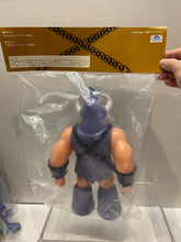 Load image into Gallery viewer, G16993 B