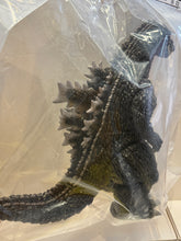 Load image into Gallery viewer, G16857