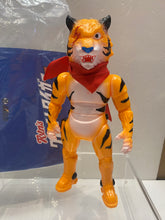 Load image into Gallery viewer, G16911 C