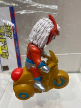 Load image into Gallery viewer, G16798