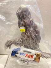 Load image into Gallery viewer, G14923