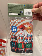 Load image into Gallery viewer, V3089