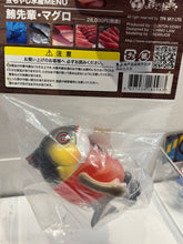 Load image into Gallery viewer, G16955 D