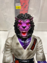 Load image into Gallery viewer, G14977 B