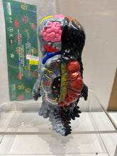 Load image into Gallery viewer, G15589 A