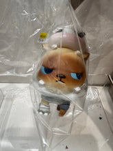 Load image into Gallery viewer, G15447